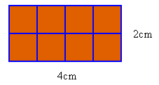 2 x 4 rectangle