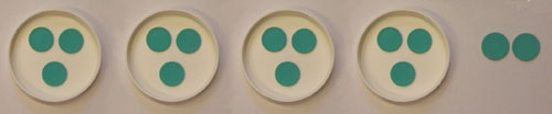 Four plates with three counters on each plus two spare